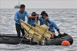 Việt Nam chia buồn với Indonesia về máy bay gặp nạn
