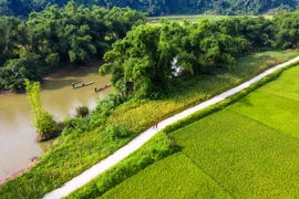 Hấp dẫn giải chạy siêu địa hình ở Ba Bể 