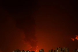 Việt Nam kêu gọi giải quyết xung đột Israel-Palestine 