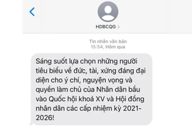 Sau tin nhắn, nhà mạng sẽ phát âm thông báo về bầu cử