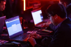 Bộ TT&TT ra chỉ thị chống vi phạm pháp luật trên internet
