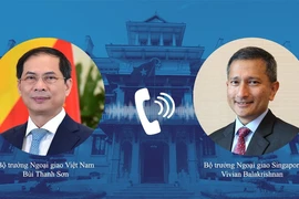 Đề nghị Singapore hỗ trợ hoặc chuyển nhượng lại vaccine dôi dư cho Việt Nam