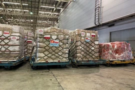 Ba Lan viện trợ Việt Nam thiết bị, vật tư y tế trị giá khoảng 4 triệu USD