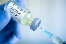 Canada cam kết tiếp tục hỗ trợ Việt Nam tiếp cận vaccine chống COVID-19