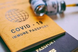 Việt Nam trao đổi với 80 đối tác để công nhận lẫn nhau 'hộ chiếu vaccine'