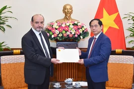 Chính phủ, người dân Thổ Nhĩ Kỳ xúc động với sự hỗ trợ của Việt Nam