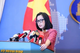 Phim về MH370 không phản ánh đúng nỗ lực của các cơ quan chức năng Việt Nam