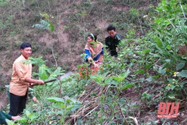 Bộ Quốc phòng đồng ý thu hồi 96,8 ha đất rừng để giao cho các hộ dân 