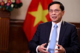 Bộ trưởng Ngoại giao Bùi Thanh Sơn: Đã khẳng định rõ bản sắc 'ngoại giao cây tre Việt Nam'