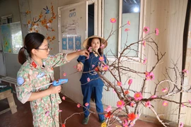 Bộ đội Việt Nam dùng nhánh cây rừng Châu Phi làm đào, mai đón tết