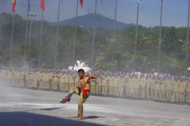 Chiến sĩ Gìn giữ hoà bình Việt Nam đấu võ, kéo xe, nhảy qua vòng lửa