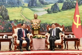 Phó Thủ tướng, Bộ trưởng Ngoại giao Bùi Thanh Sơn hội kiến lãnh đạo cao cấp Lào