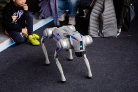Người dân thích thú xem robot chó trình diễn tại Triển lãm Quốc phòng quốc tế Việt Nam