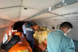 Trực thăng Mi-171 và Mi-17 mang theo hàng hoá cứu trợ vùng lũ