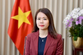 Thứ trưởng Bộ Ngoại giao nói về thông điệp chính sách Thủ tướng chia sẻ tại G20