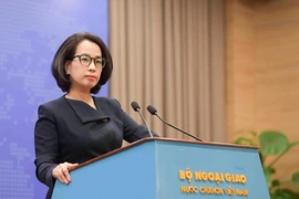 Việt Nam nói về việc Trung Quốc khai trương trung tâm thương mại tại Hoàng Sa