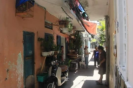 Ảnh: TẤN VIỆT 