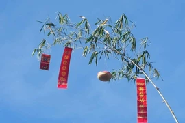 Hồn của Tết...