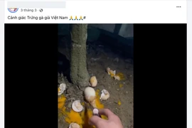 Hiệp hội Gia cầm kiến nghị Bộ Công an điều tra về thông tin 'trứng gà giả'