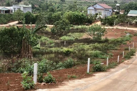 Lâm Đồng có văn bản chỉ đạo liên quan các văn bản hạn chế tách thửa