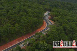 Thông xe từ đỉnh đèo Prenn đến thác Datanla
