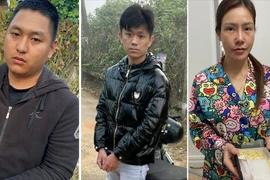 Mang hơn nửa ký ma túy từ TP.HCM lên Bảo Lộc bán kiếm lời