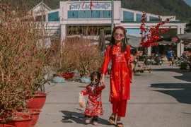 Xứ ngàn hoa vào mùa hoa tết