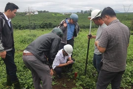 Bàn giao ranh giới mốc giải phóng mặt bằng Dự án cao tốc Bảo Lộc - Liên Khương