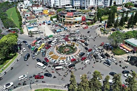 TP Đà Lạt: Phạt nguội 314 trường hợp theo Nghị định 168