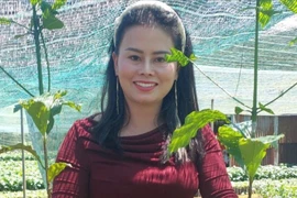 Nông dân tỉnh Lâm Đồng ồ ạt tái vườn, giá cây cà phê giống tăng cao