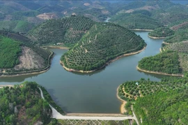 Lâm Đồng triển khai loạt chương trình, đề án lớn thực hiện quy hoạch lâm nghiệp 