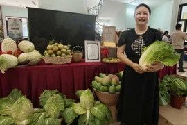 Lâm Đồng mở rộng đầu ra nông sản bằng liên kết chuỗi và thương mại điện tử