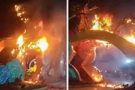 Cháy mô hình rồng trưng bày dịp Tết ở Phú Yên