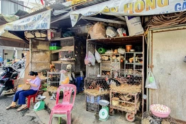 Hàng quán bán thịt gà đóng cửa, chợ vắng người mua sau các vụ ngộ độc ở Nha Trang