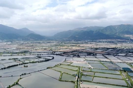 Khánh Hòa thi thiết kế kiến trúc trụ sở chung các sở, ngành