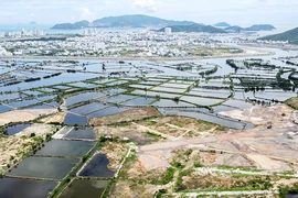 Khánh Hòa: Đấu thầu dự án đầu tư cho nhiều khu đất