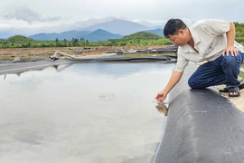 Nhường đất cho khu công nghiệp, diêm dân chờ bồi thường chi phí đầu tư 