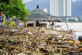 Rác tràn ngập kéo dài hàng km trên bãi biển Nha Trang