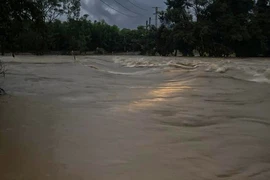 Khánh Hòa mưa cả đêm, nhiều nơi bị chia cắt, nước sông Cái Nha Trang đang lên