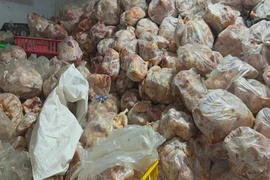 10 tấn thịt gà không nguồn gốc, xuất xứ trong kho lạnh ở Nha Trang