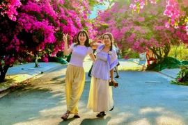 Xí chỗ để được check-in con đường hoa giấy tuyệt đẹp ở Nha Trang