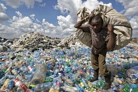Một người đàn ông đang nhặt rác ở Nairobi, Kenya. Ảnh: AP