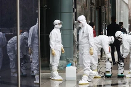 Nhân viên y tế khử trùng ở TP Daegu (Ảnh chụp ngày 25-2). Ảnh: AFP
