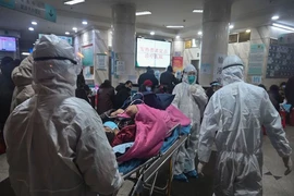 Nhân viên y tế ở TP Vũ Hán (Trung Quốc) đến bệnh viện với một bệnh nhân vào ngày 25-1. Ảnh: GETTY IMAGES 
