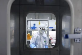 Các nhà khoa học trên thế giới đang chạy đua phát triển vaccine ngừa COVID-19. Ảnh: TÂN HOA XÃ