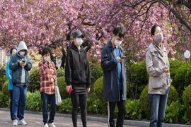 Người dân Hàn Quốc tuân thủ giữ khoảng cách an toàn, đeo khẩu trang kín. Ảnh: XINHUA