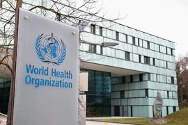 WHO sẽ công bố sáng kiến chia sẻ các bộ dụng cụ xét nghiệm, vaccine và thuốc trị COVID-19. Ảnh: REUTERS
