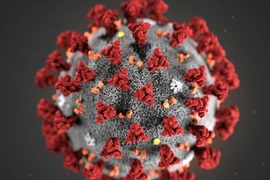 Chuyên gia vừa phát hiện virus gây dịch COVID-19 có biến thể mới nguy hiểm hơn. Ảnh minh hoạ: REUTERS