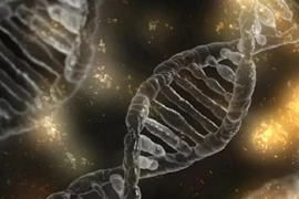 Các nhà khoa học Mỹ phát hiện đột biến lớn ở virus SARS-CoV-2, mở ra giả thuyết virus bắt đầu suy yếu - Ảnh minh họa. Ảnh: SPUTNIK