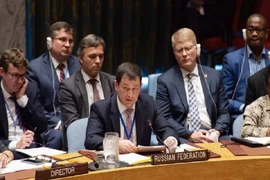 Phó Đại diện thường trực Nga tại LHQ Dmitry Polyanskiy phát biểu trong một cuộc họp tại LHQ. Ảnh: EPA